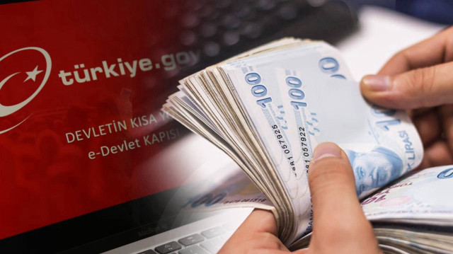 e-devlette-unutulan-paraniz-olabilir-gozden-kacan-birikimlerinizi-boyle-ogrenebiliriz-dbaKXSa4.jpeg