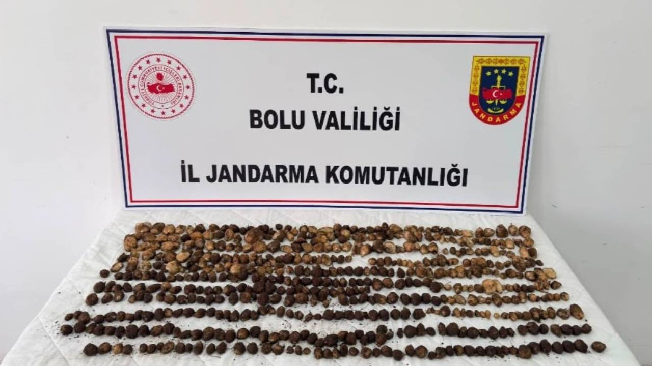 Yabani salep topladılar servet gibi ceza yediler!