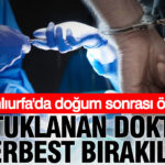Sanliurfada dogum sonrasi olum tutuklanan doktor serbest birakildi fHGwRTl2